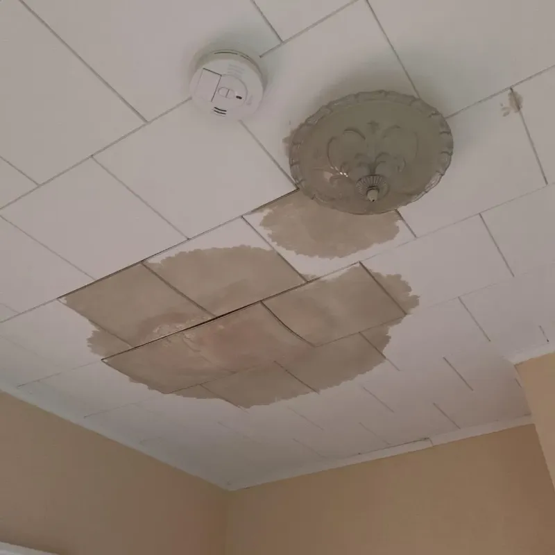 Ceiling Water Damage Repair in Wyldwood, TX