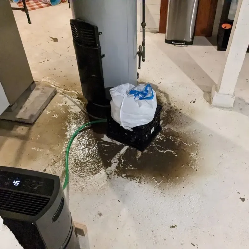 Sewage Backup Cleanup Service in Wyldwood, TX